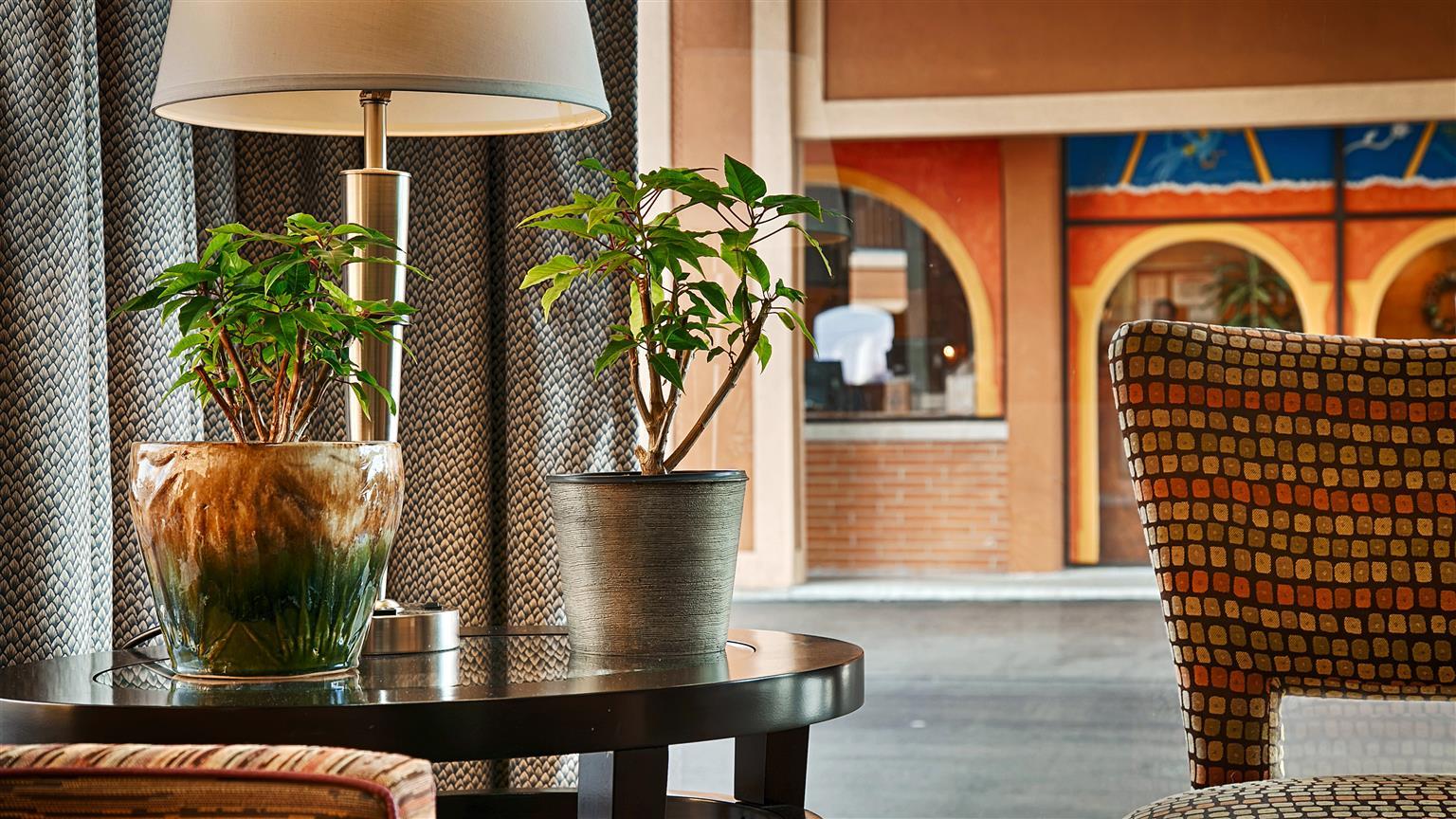 Best Western Thunderbird Motel Cookeville Dış mekan fotoğraf